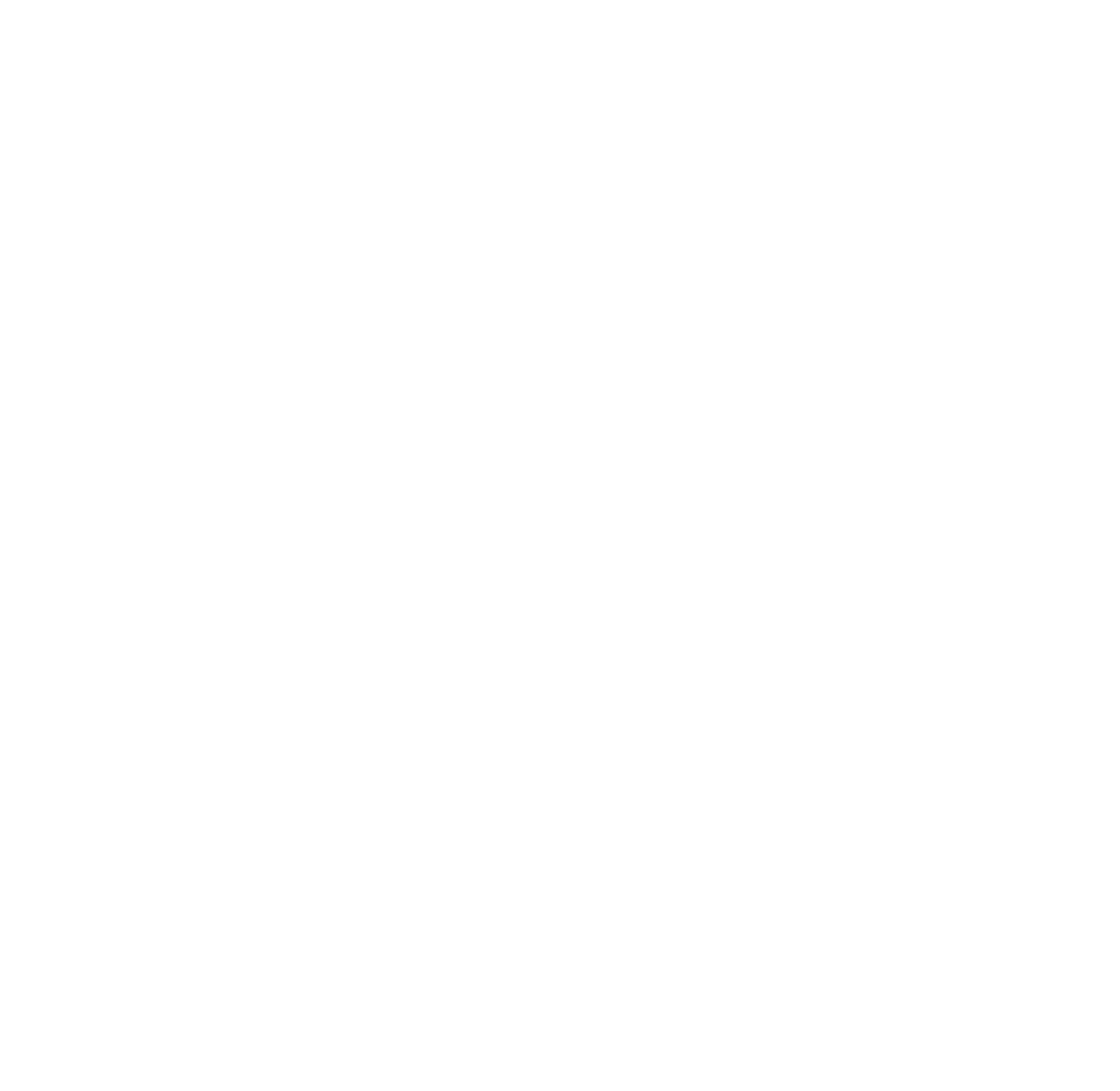 PonyFest x PVFM icon